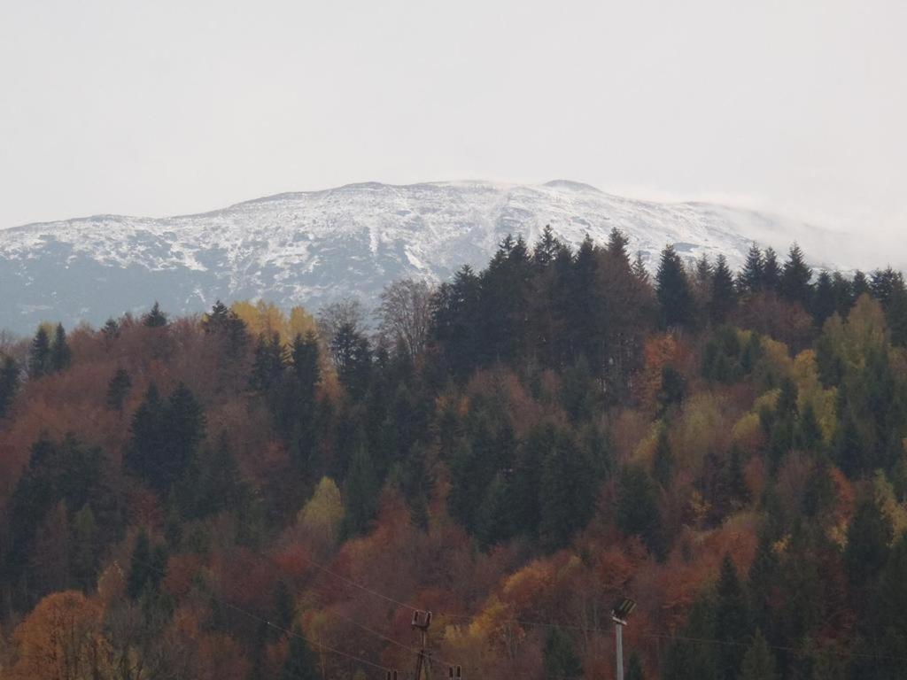Willa Babia Góra Zawoja Exterior foto